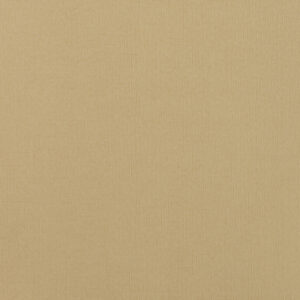 Cartulina textura lienzo 12" x 12" CARNE